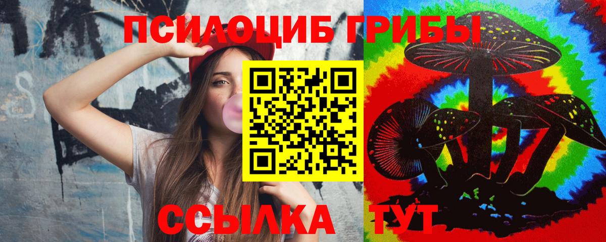 Камышин  Псилоцибиновые грибы мухоморы  где найти наркотики  Вход с VPN 